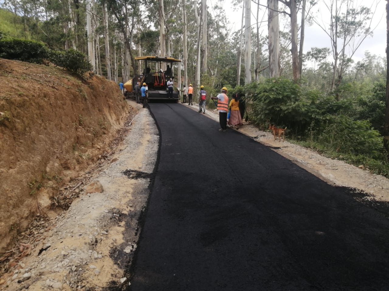 Second Integrated Road Investment Program - Rehabilitation, Improvement and Maintenance of 23.96 Km Rural Roads in Badulla District - Image 10
